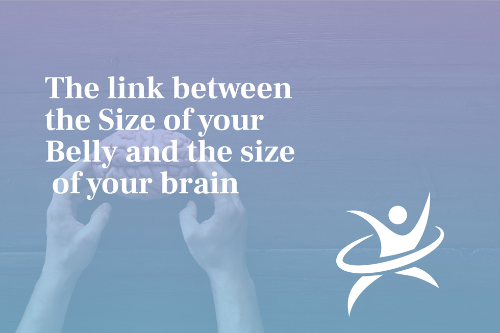 The Link between the Size of your Belly and the Size of your Brain